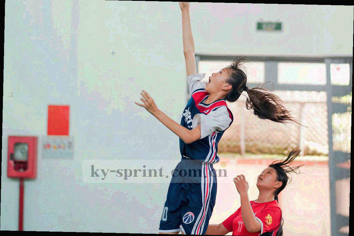 多台设备图标通过细线连接到同一份战报文档的示意图，象征阅读进度在手机与电脑之间衔接